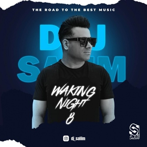 دانلود آهنگ دیجی سلیم Waking Night 8